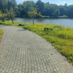 Ścieżka z kostki brukowej w Drawskim Parku Krajobrazowym prowadzi nad jezioro. Słońce odbija się od wody, a wokół bujna zieleń.
