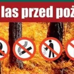 Chroń las przed ogniem! Zakaz rozpalania ogniska, palenia, śmiecenia, picia alkoholu i wjazdu samochodem.