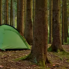 Ziel wyprawy: gdzie pod namiot nad jezioro. Zielony namiot i rowery czekają w lesie na przygodę.
