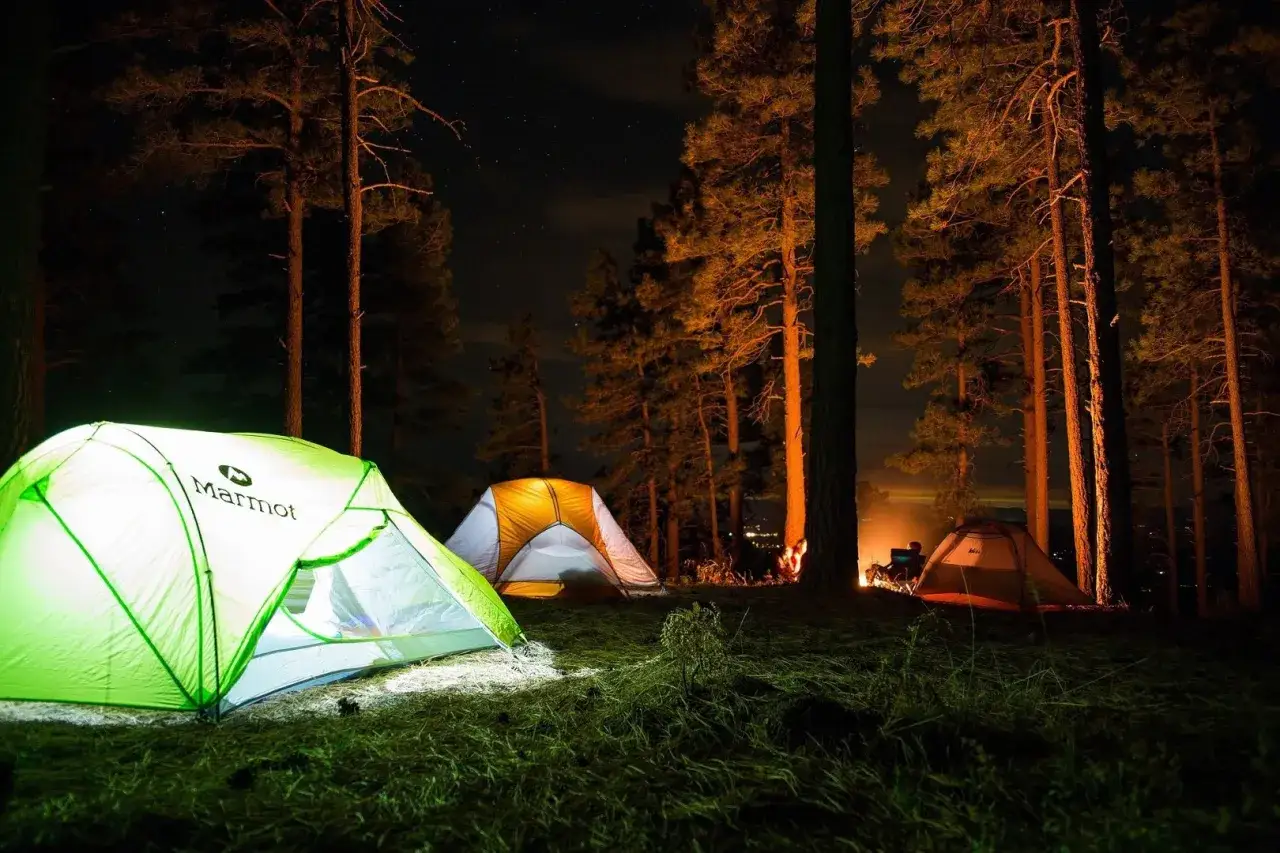 Nocny camping w lesie. Trzy namioty oświetlone od środka, ognisko i gwieździste niebo.