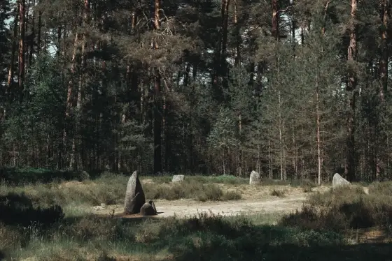 Kamienne kręgi - Węsiory i Odry. Zaplanuj szlak bez błędów!